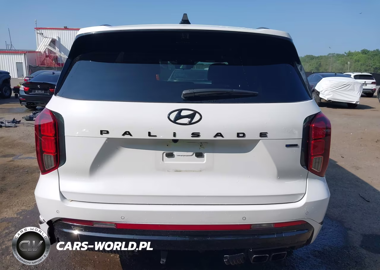 2025 Hyundai Palisade Calligraphy Night Edition VIN:KM8R7DGE3SU924743 - 17