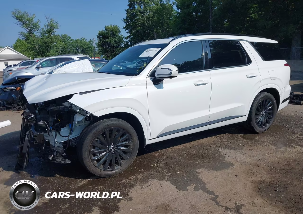 2025 Hyundai Palisade Calligraphy Night Edition VIN:KM8R7DGE3SU924743 - 2