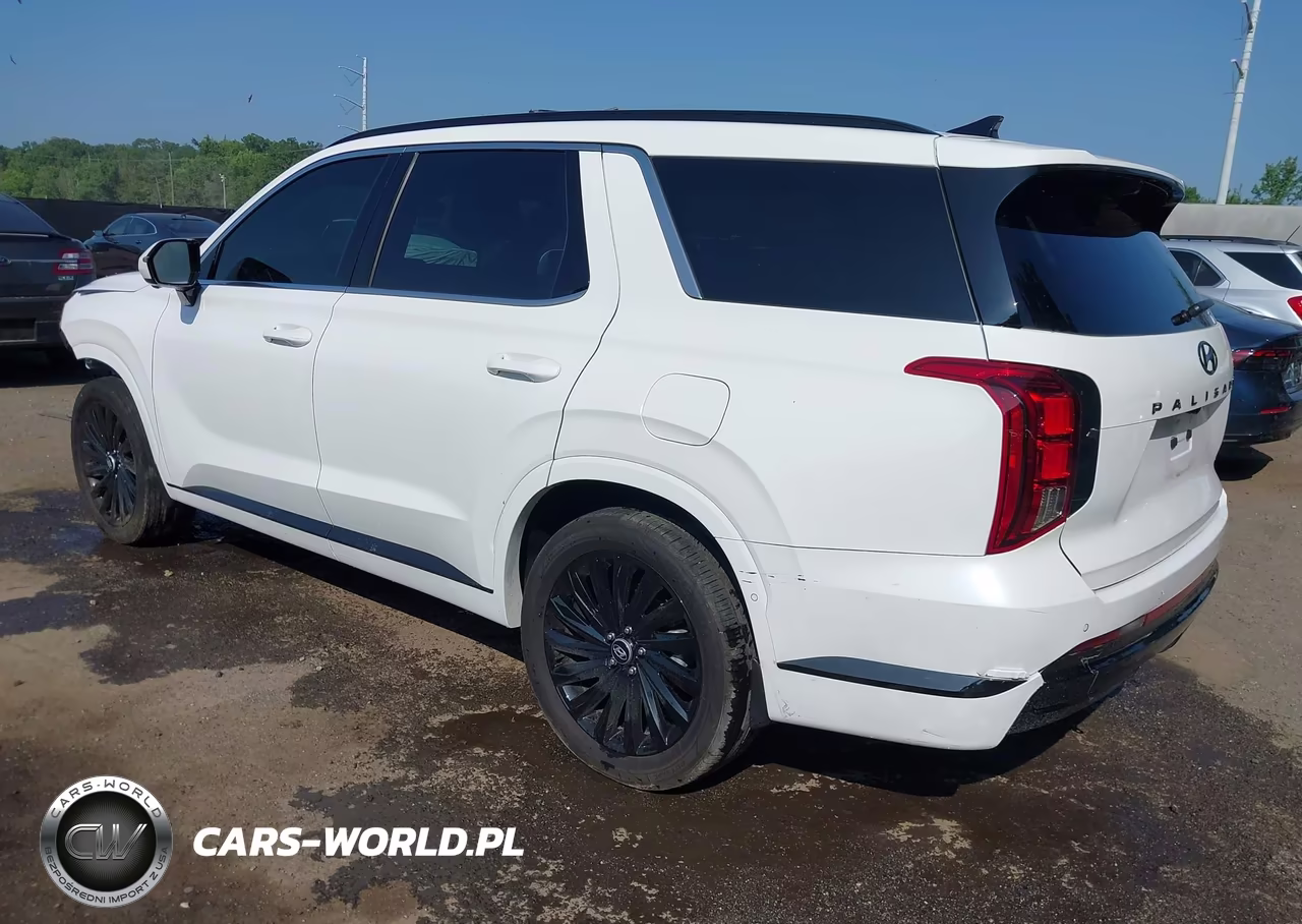 2025 Hyundai Palisade Calligraphy Night Edition VIN:KM8R7DGE3SU924743 - 3