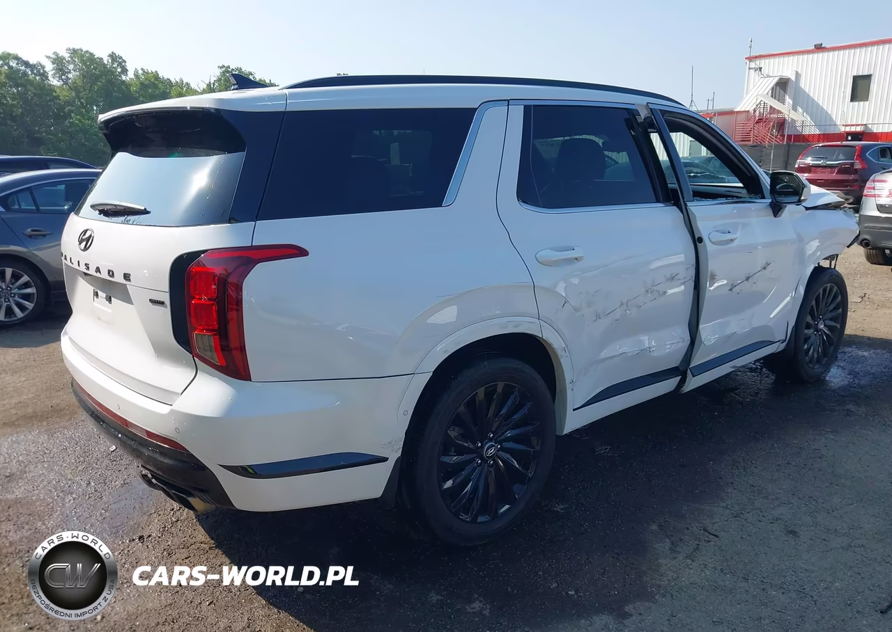 2025 Hyundai Palisade Calligraphy Night Edition VIN:KM8R7DGE3SU924743 - 4