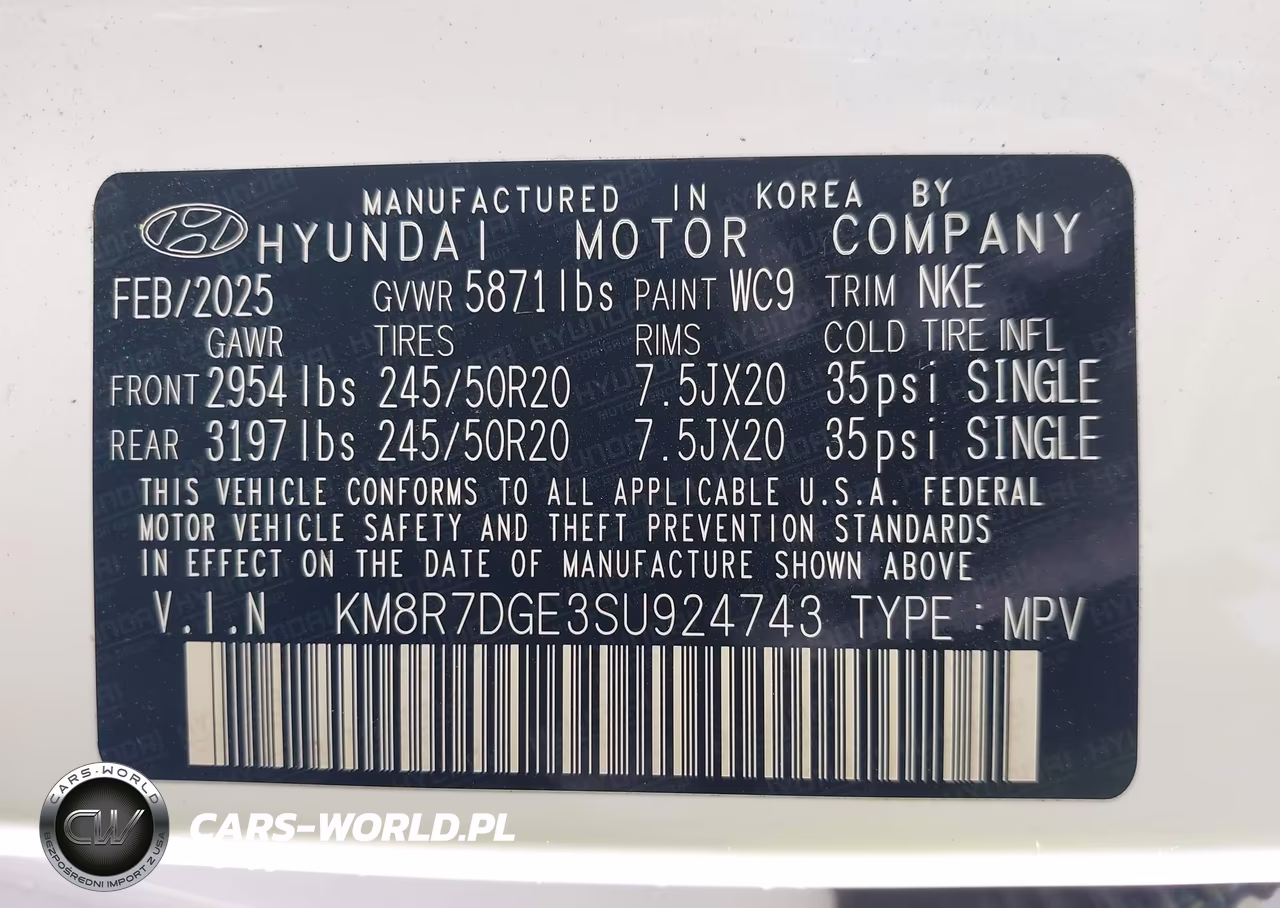 2025 Hyundai Palisade Calligraphy Night Edition VIN:KM8R7DGE3SU924743 - 9