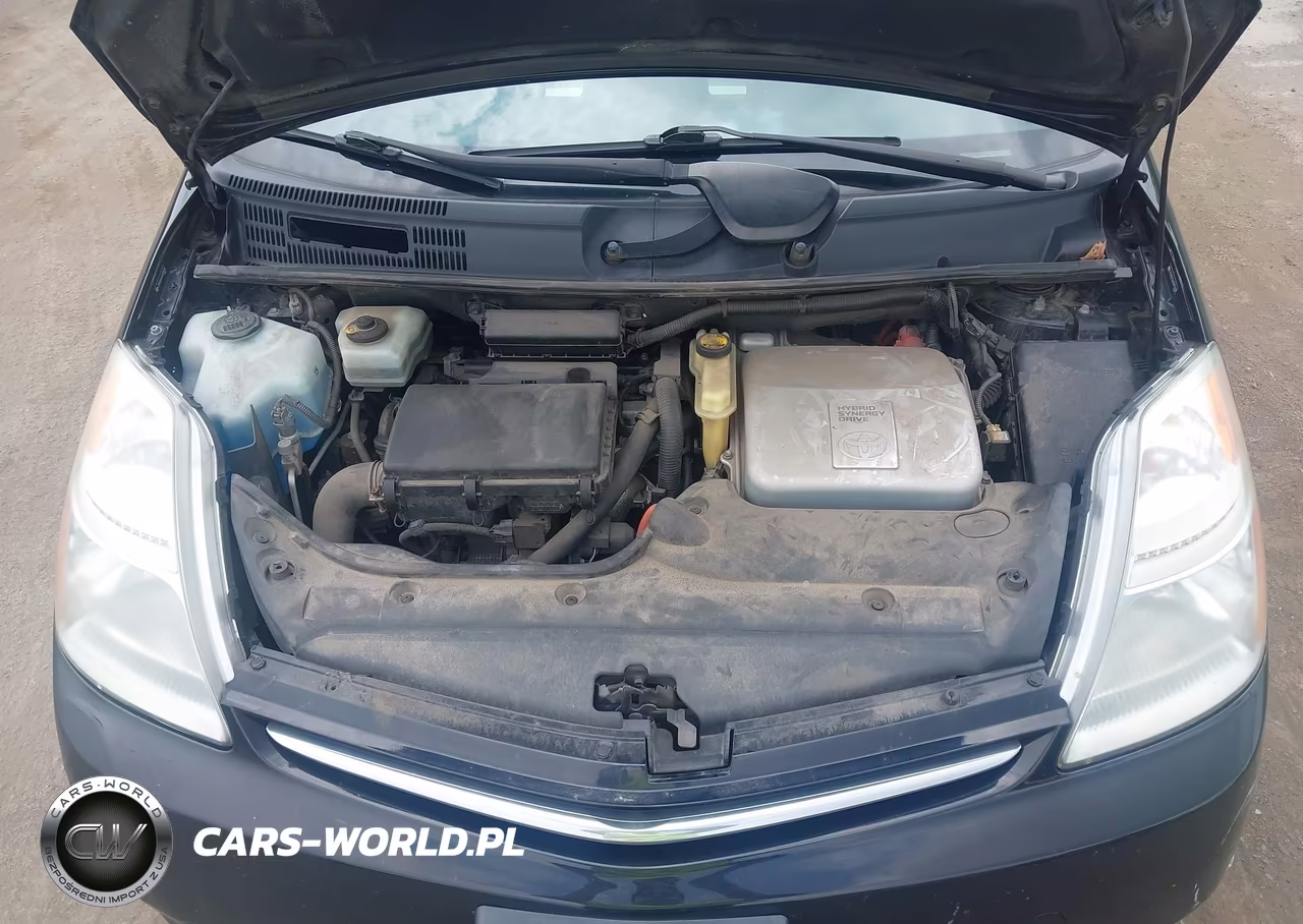 2009 Toyota Prius VIN:JTDKB20U693475438 - 10