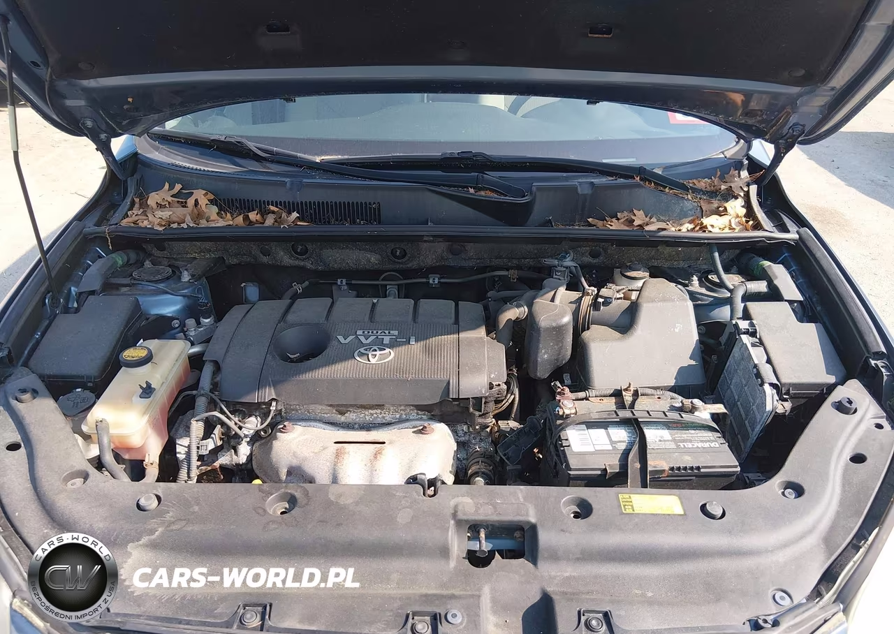 2010 Toyota Rav4 VIN:JTMBF4DVXA5027313 - 10