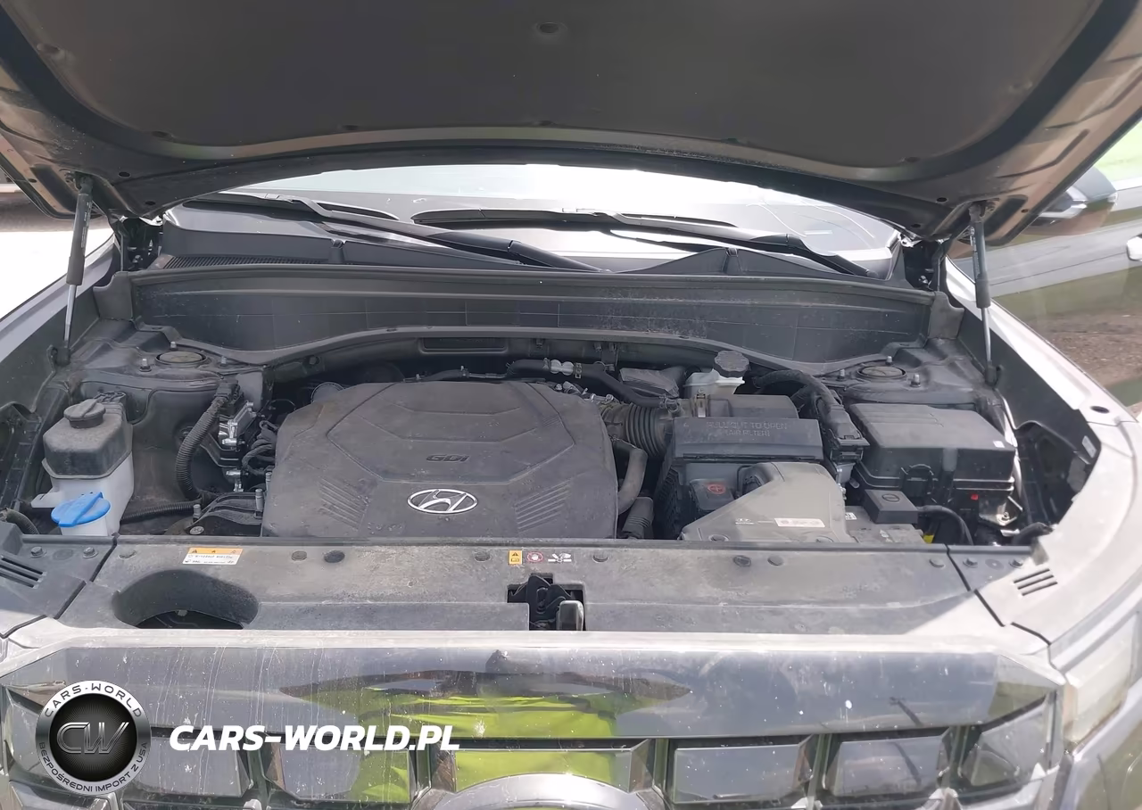 2025 Hyundai Palisade Sel VIN:KM8R24GE0SU889335 - 10