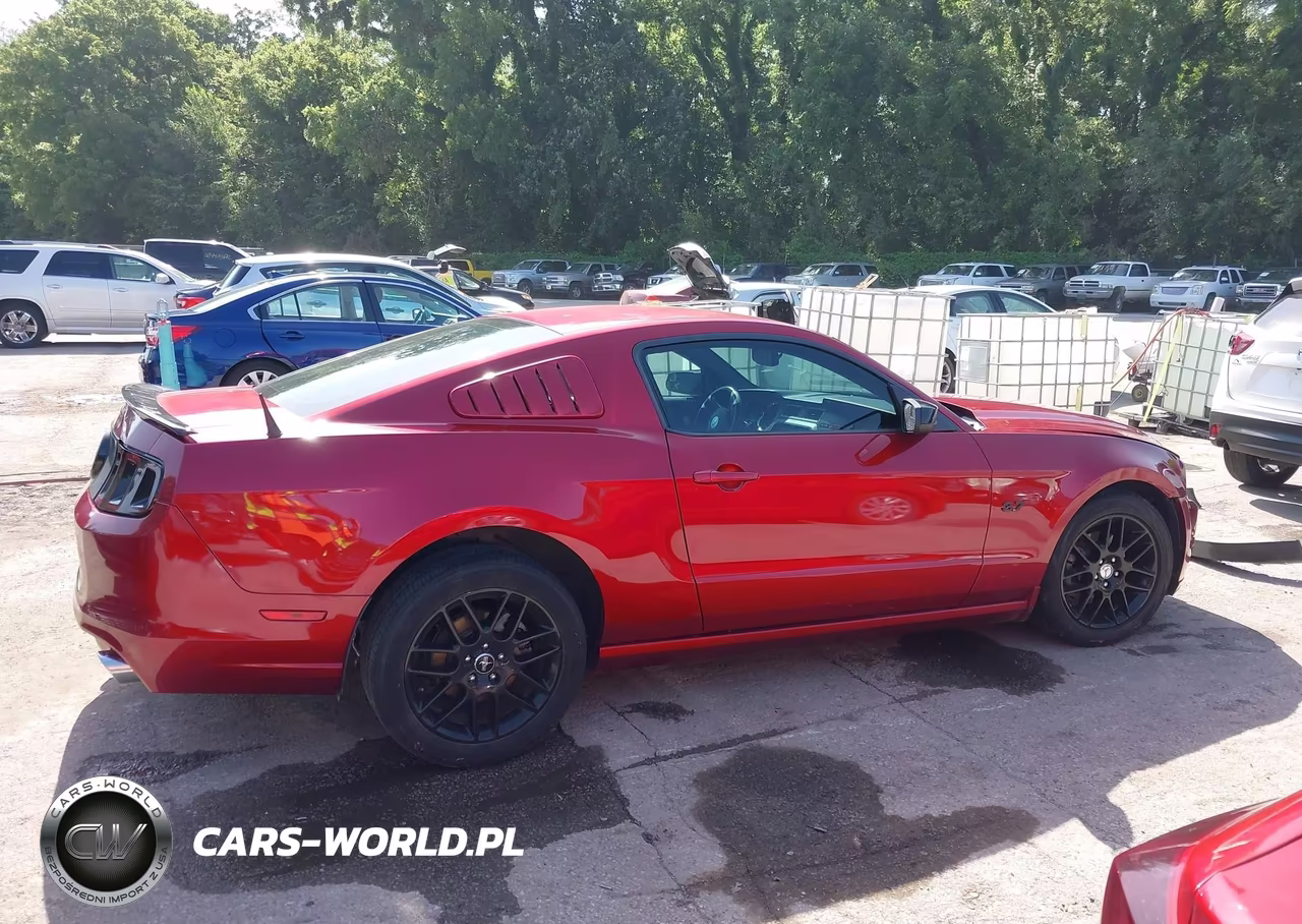 2014 Ford Mustang V6 VIN:1ZVBP8AMXE5254682 - 13