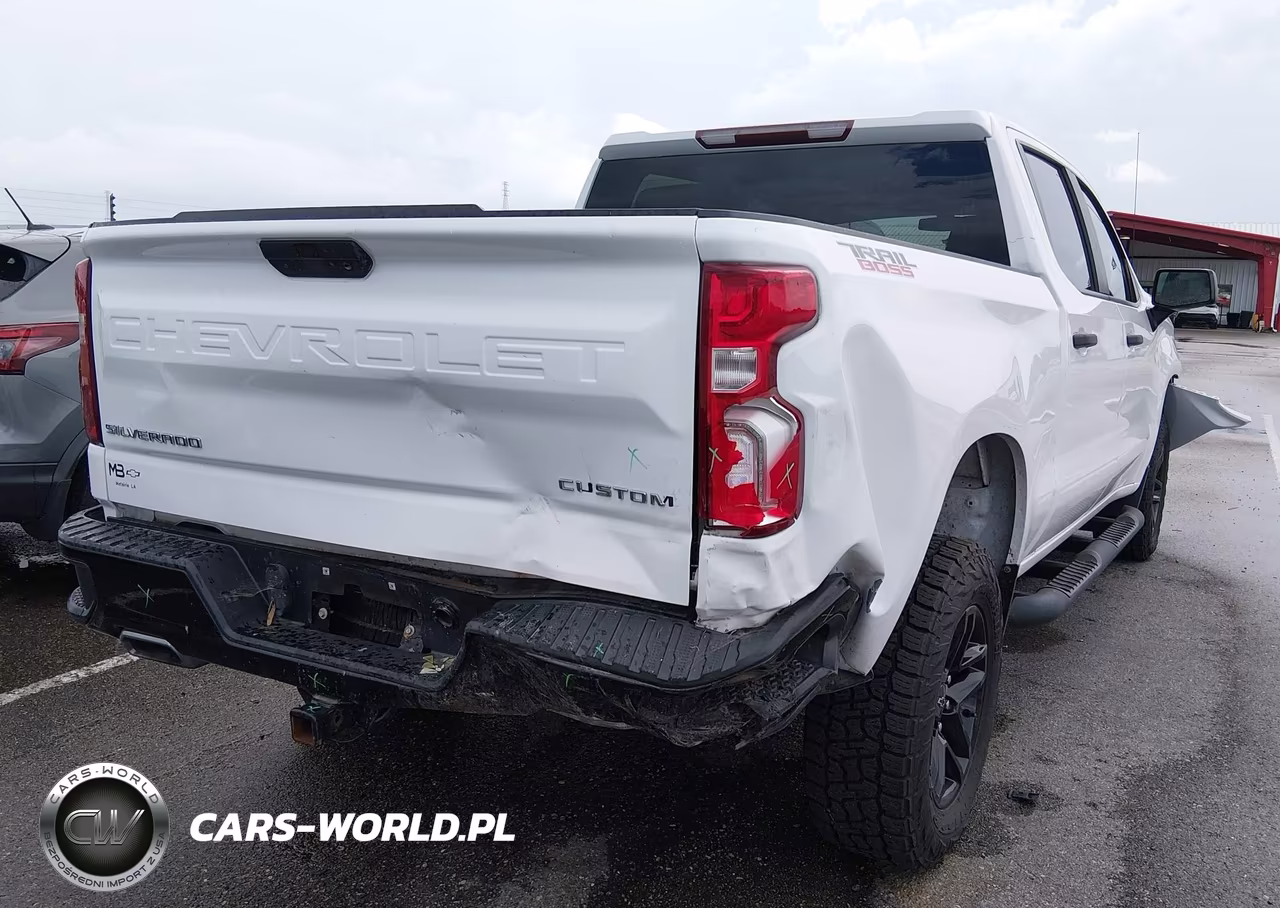 2020 Chevrolet Silverado 1500 4Wd Short Bed Custom Trail Boss VIN:3GCPYCEF2LG208399 - 4