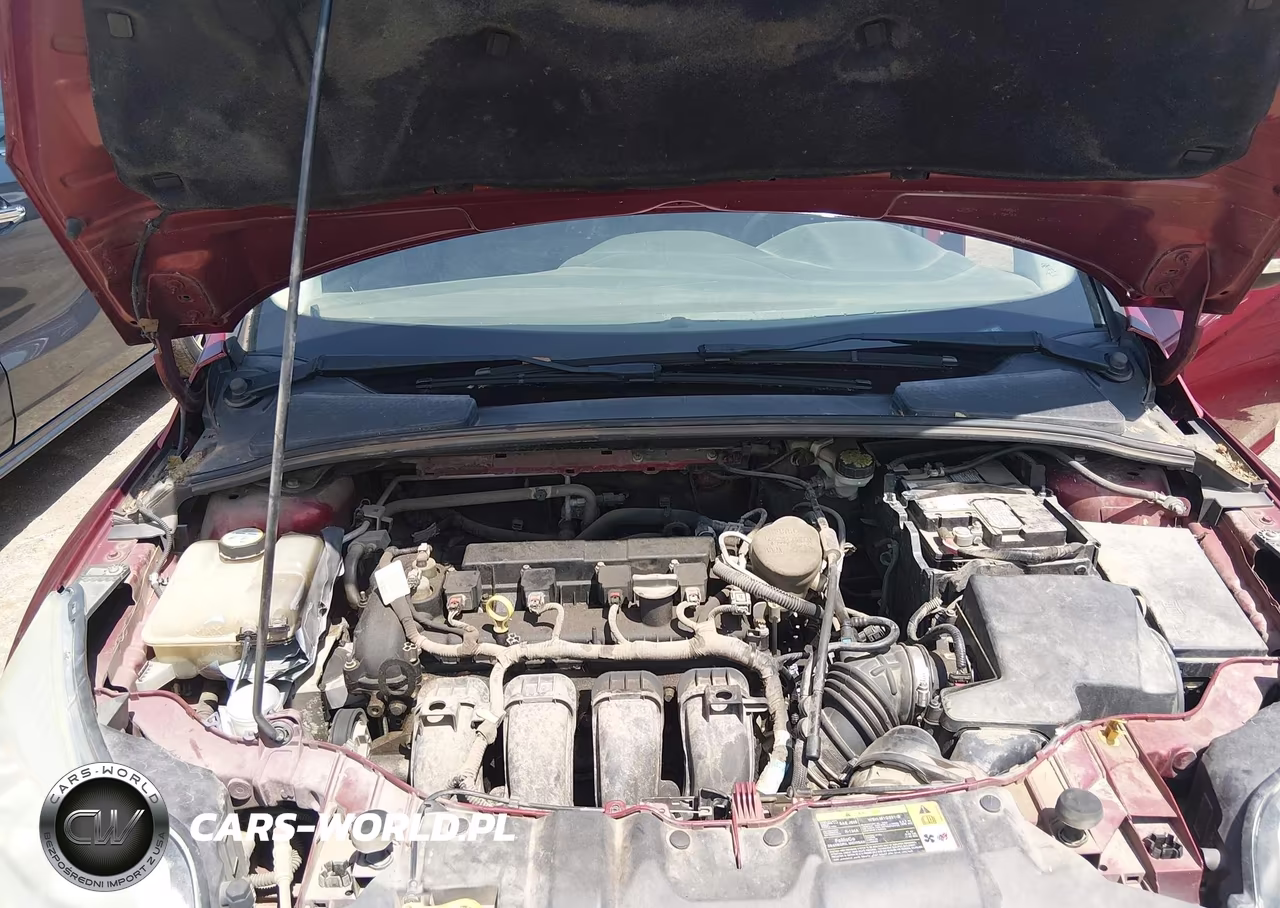 2013 Ford Focus Se VIN:1FADP3F28DL372638 - 10