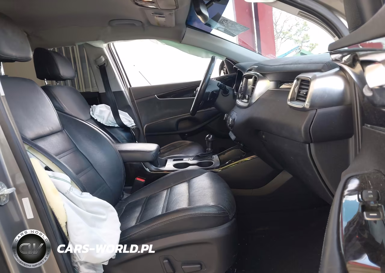 2017 Kia Sorento 2.0T Ex VIN:5XYPH4A18HG264482 - 5