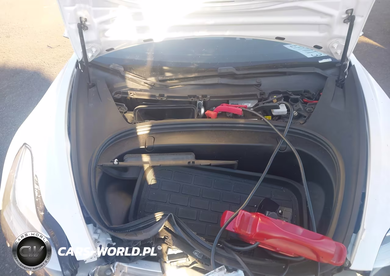 2019 Tesla Model 3 Long Range-Mid Range-Standard Range-Standard Range Plus VIN:5YJ3E1EA0KF509807 - 10
