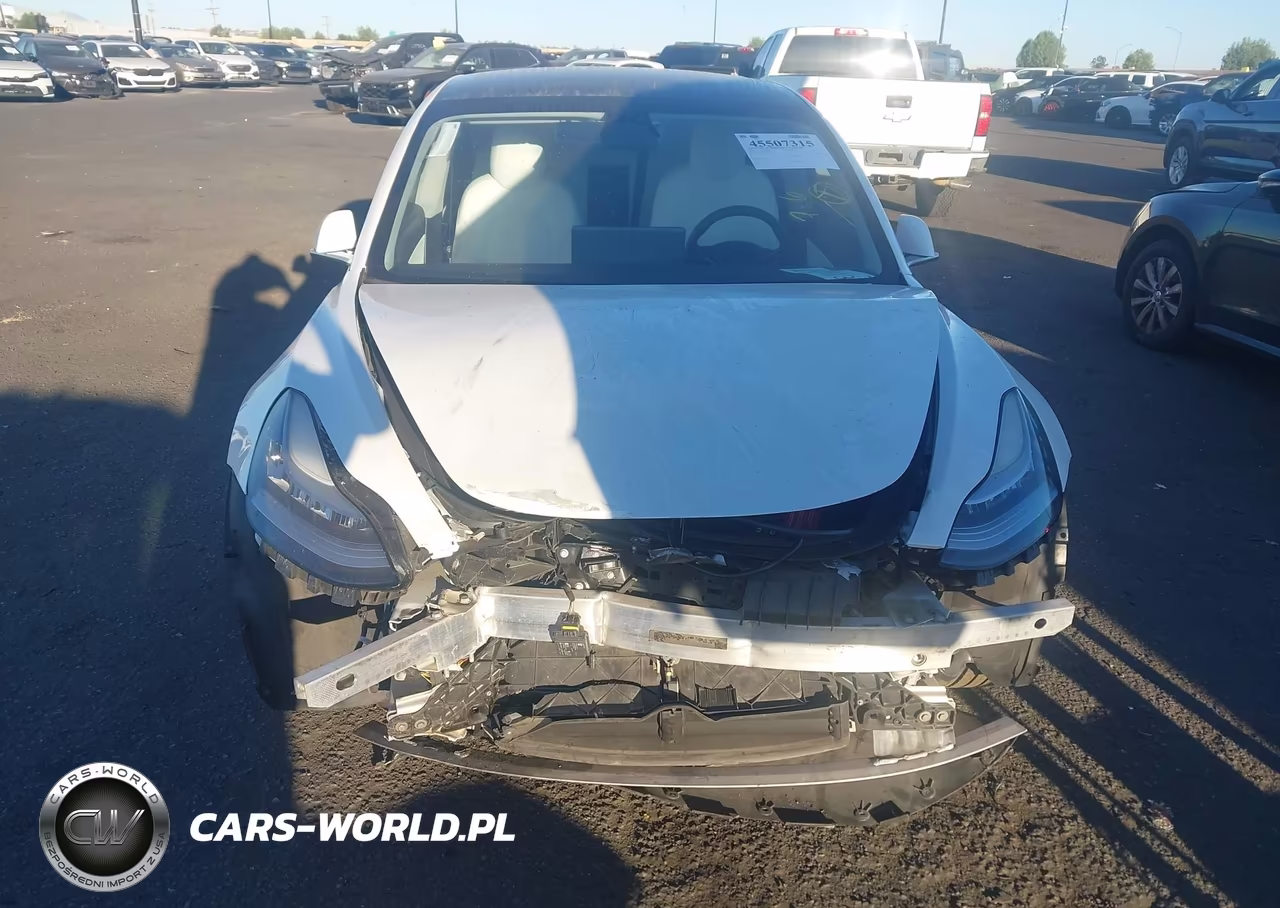 2019 Tesla Model 3 Long Range-Mid Range-Standard Range-Standard Range Plus VIN:5YJ3E1EA0KF509807 - 12