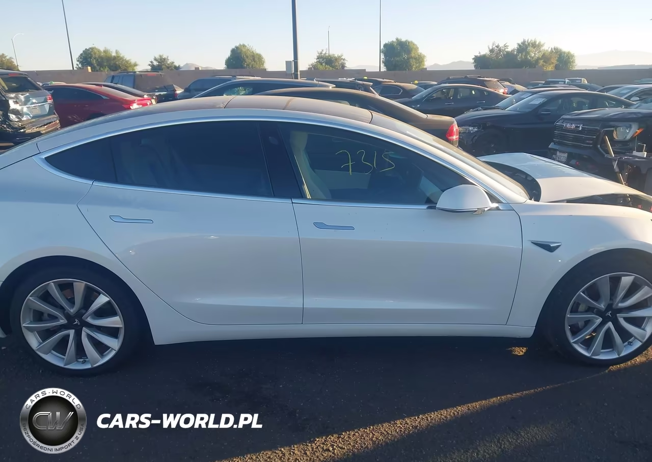 2019 Tesla Model 3 Long Range-Mid Range-Standard Range-Standard Range Plus VIN:5YJ3E1EA0KF509807 - 13