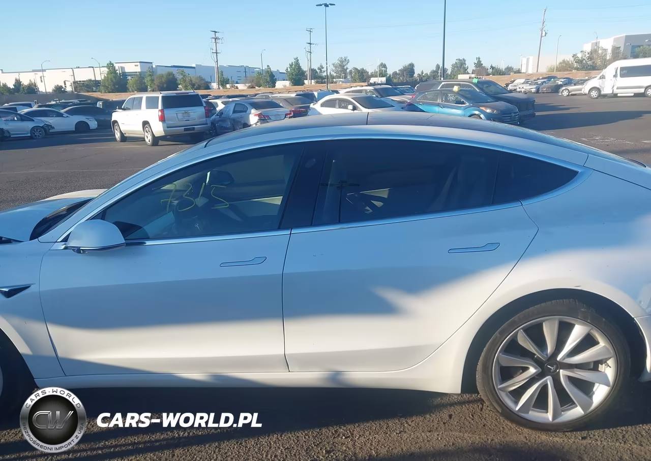 2019 Tesla Model 3 Long Range-Mid Range-Standard Range-Standard Range Plus VIN:5YJ3E1EA0KF509807 - 14