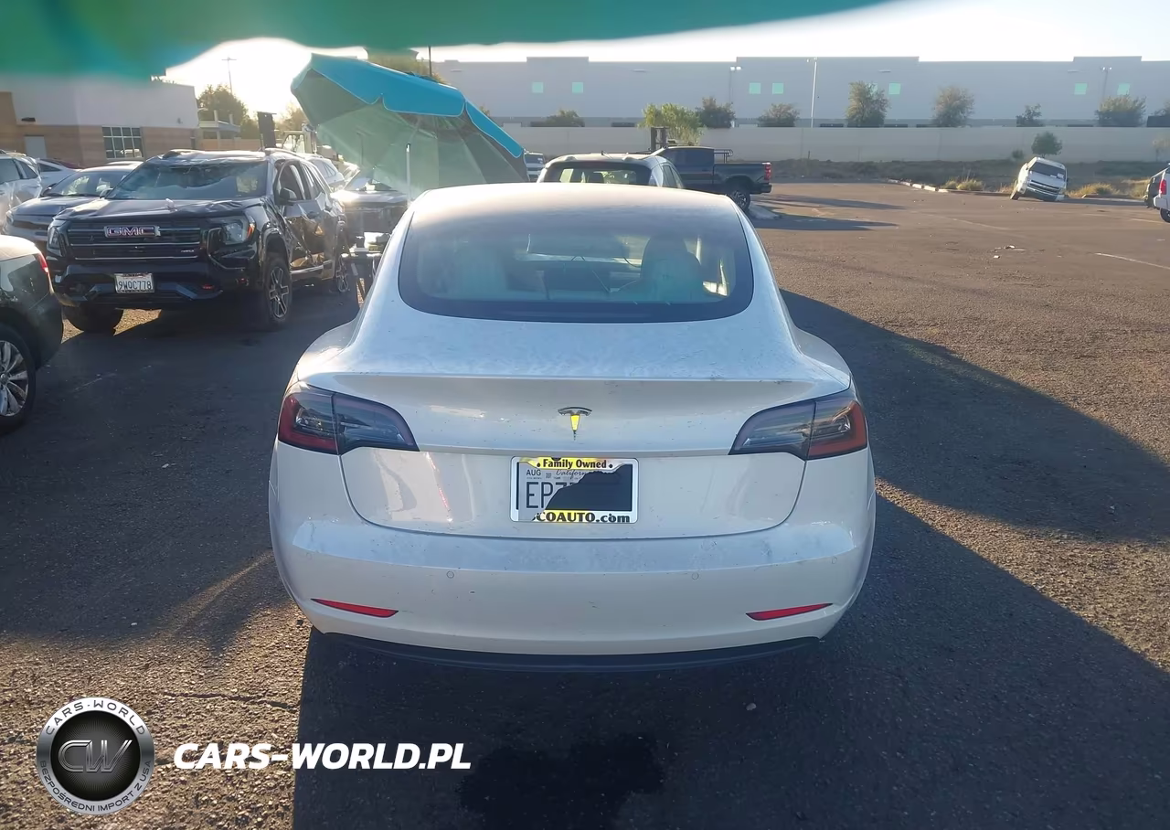 2019 Tesla Model 3 Long Range-Mid Range-Standard Range-Standard Range Plus VIN:5YJ3E1EA0KF509807 - 16