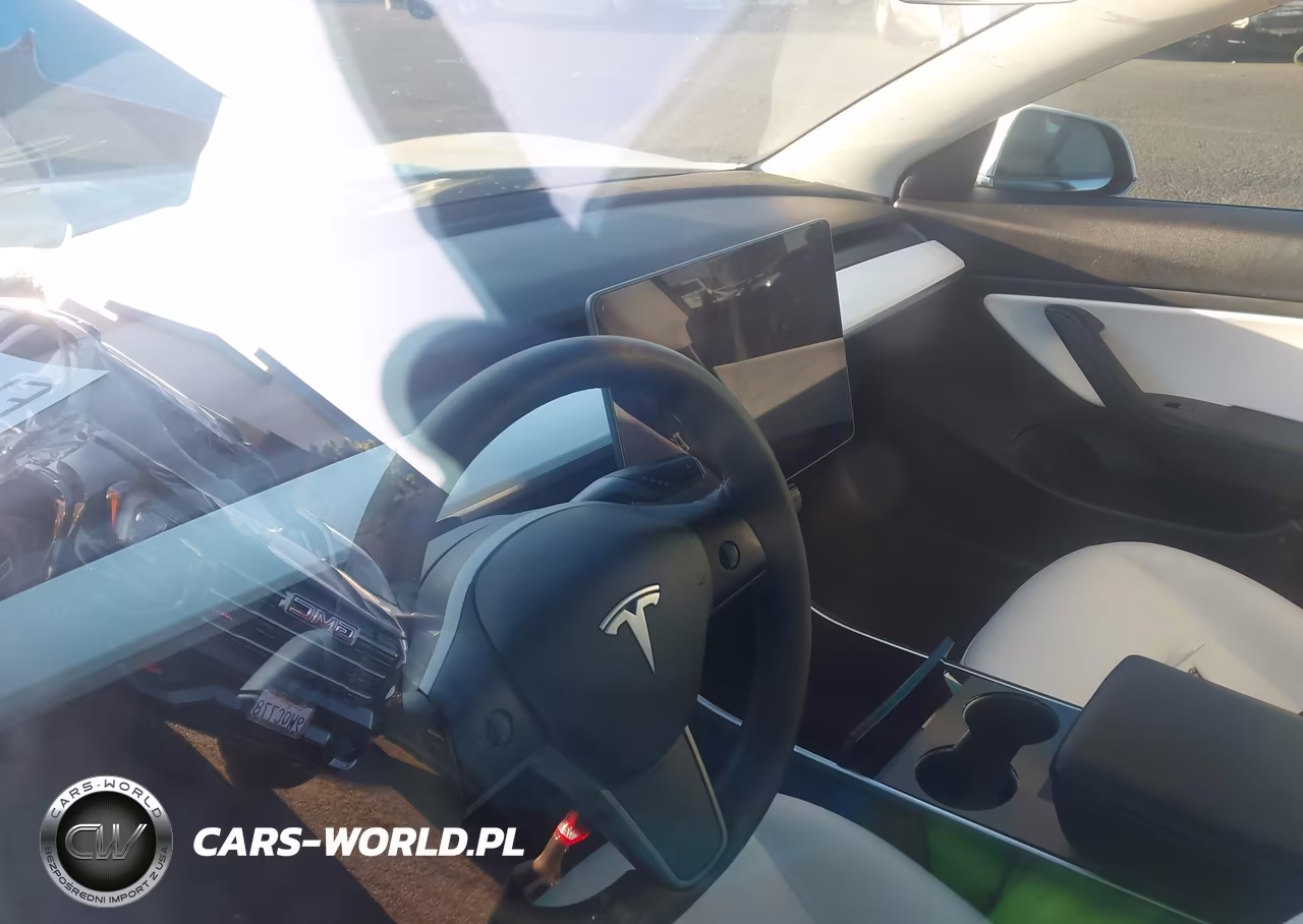 2019 Tesla Model 3 Long Range-Mid Range-Standard Range-Standard Range Plus VIN:5YJ3E1EA0KF509807 - 18