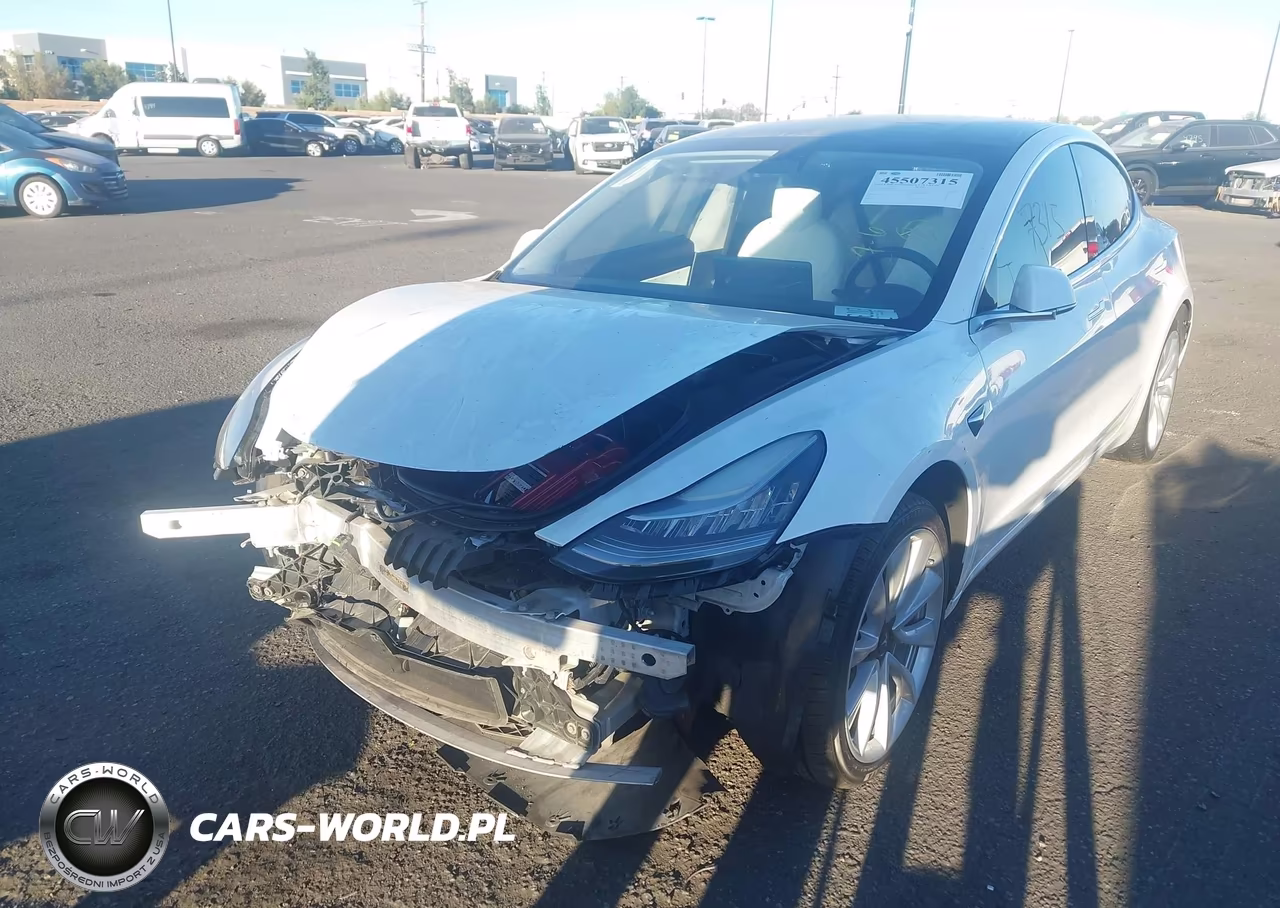 2019 Tesla Model 3 Long Range-Mid Range-Standard Range-Standard Range Plus VIN:5YJ3E1EA0KF509807 - 2