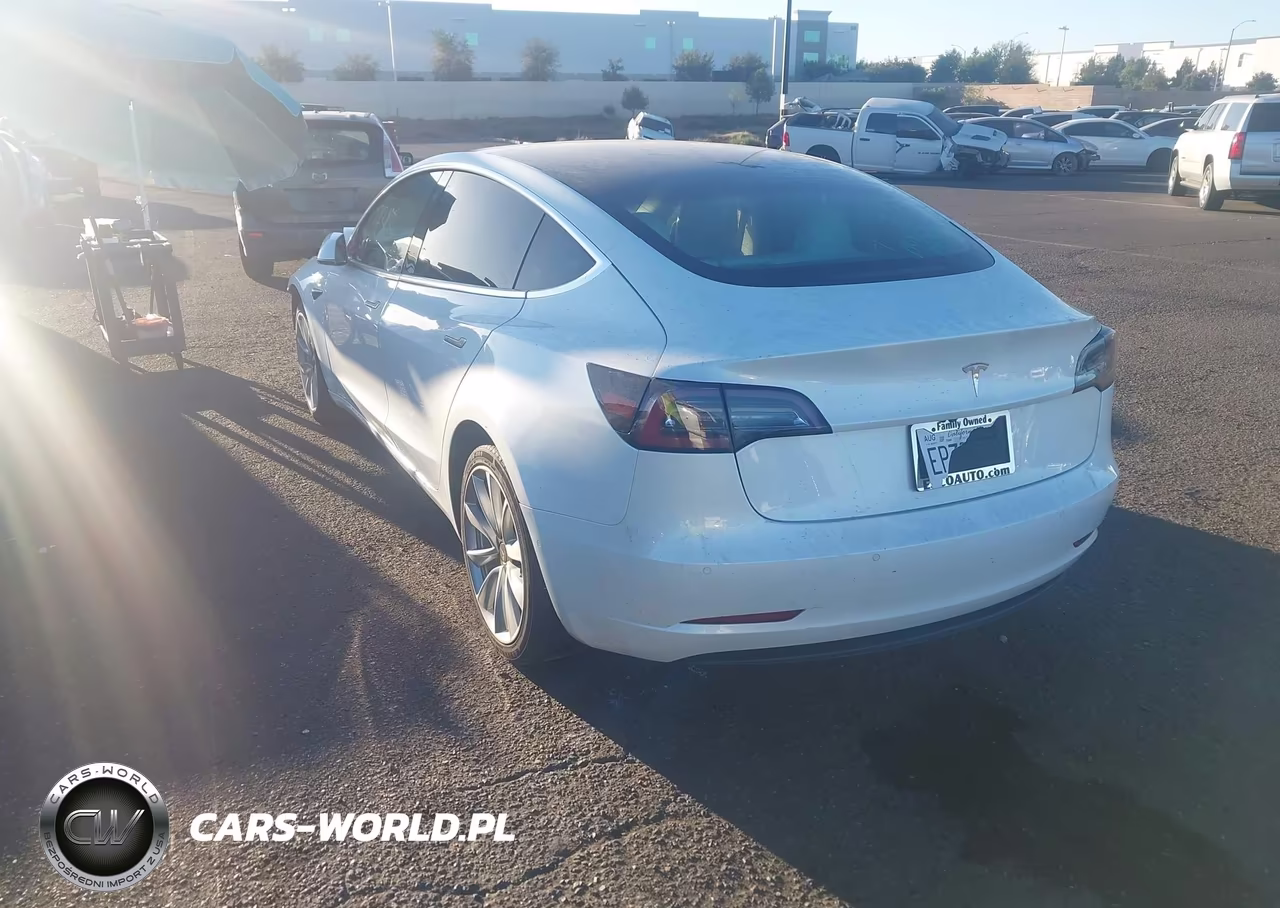 2019 Tesla Model 3 Long Range-Mid Range-Standard Range-Standard Range Plus VIN:5YJ3E1EA0KF509807 - 3