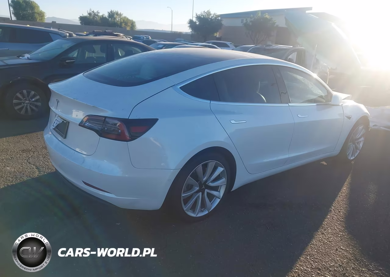 2019 Tesla Model 3 Long Range-Mid Range-Standard Range-Standard Range Plus VIN:5YJ3E1EA0KF509807 - 4