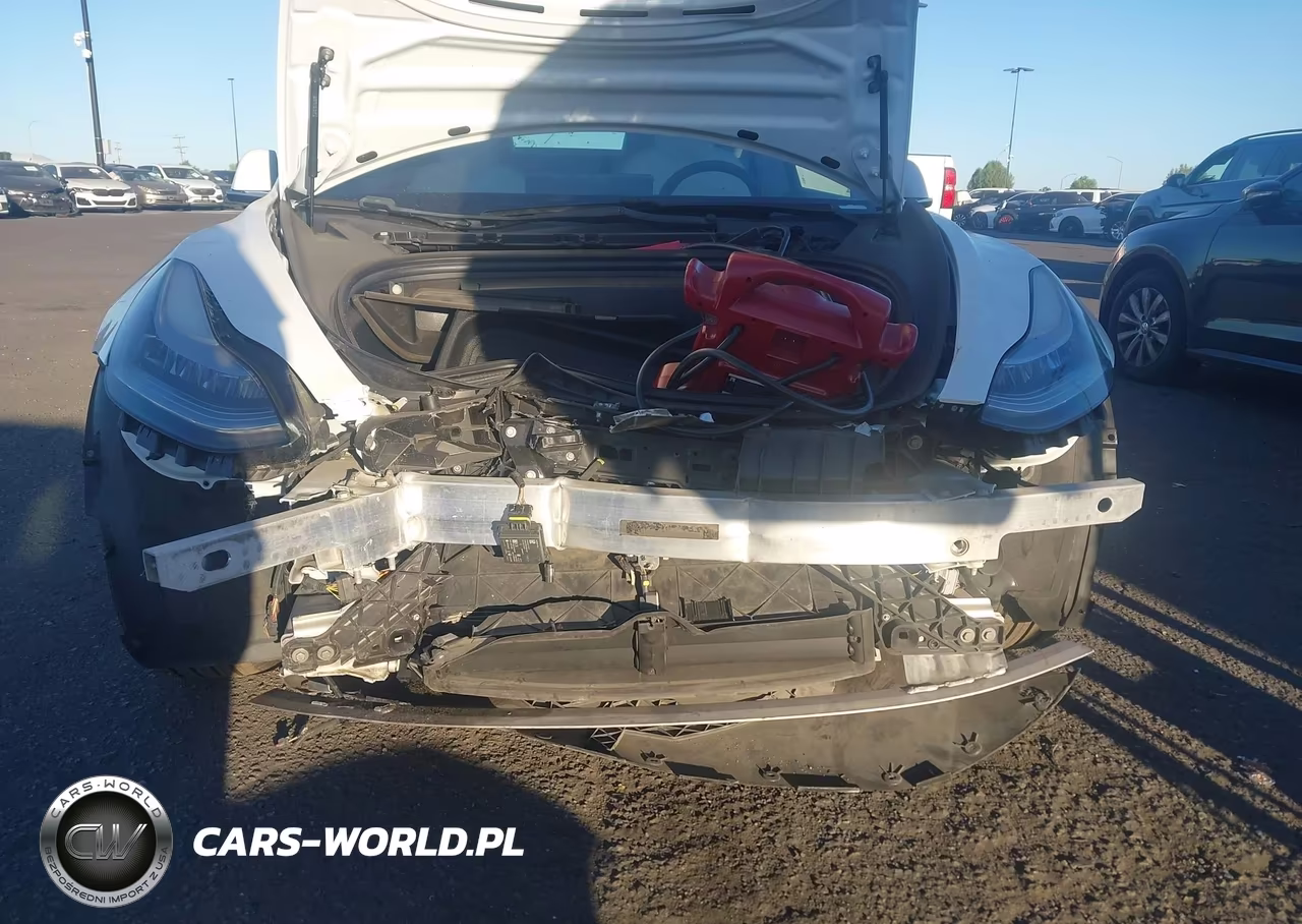 2019 Tesla Model 3 Long Range-Mid Range-Standard Range-Standard Range Plus VIN:5YJ3E1EA0KF509807 - 6