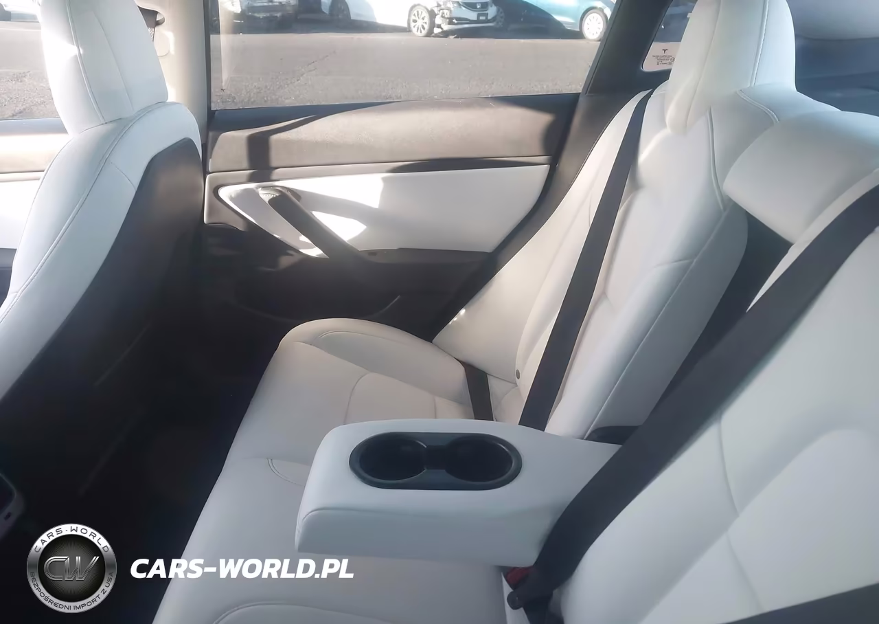 2019 Tesla Model 3 Long Range-Mid Range-Standard Range-Standard Range Plus VIN:5YJ3E1EA0KF509807 - 8