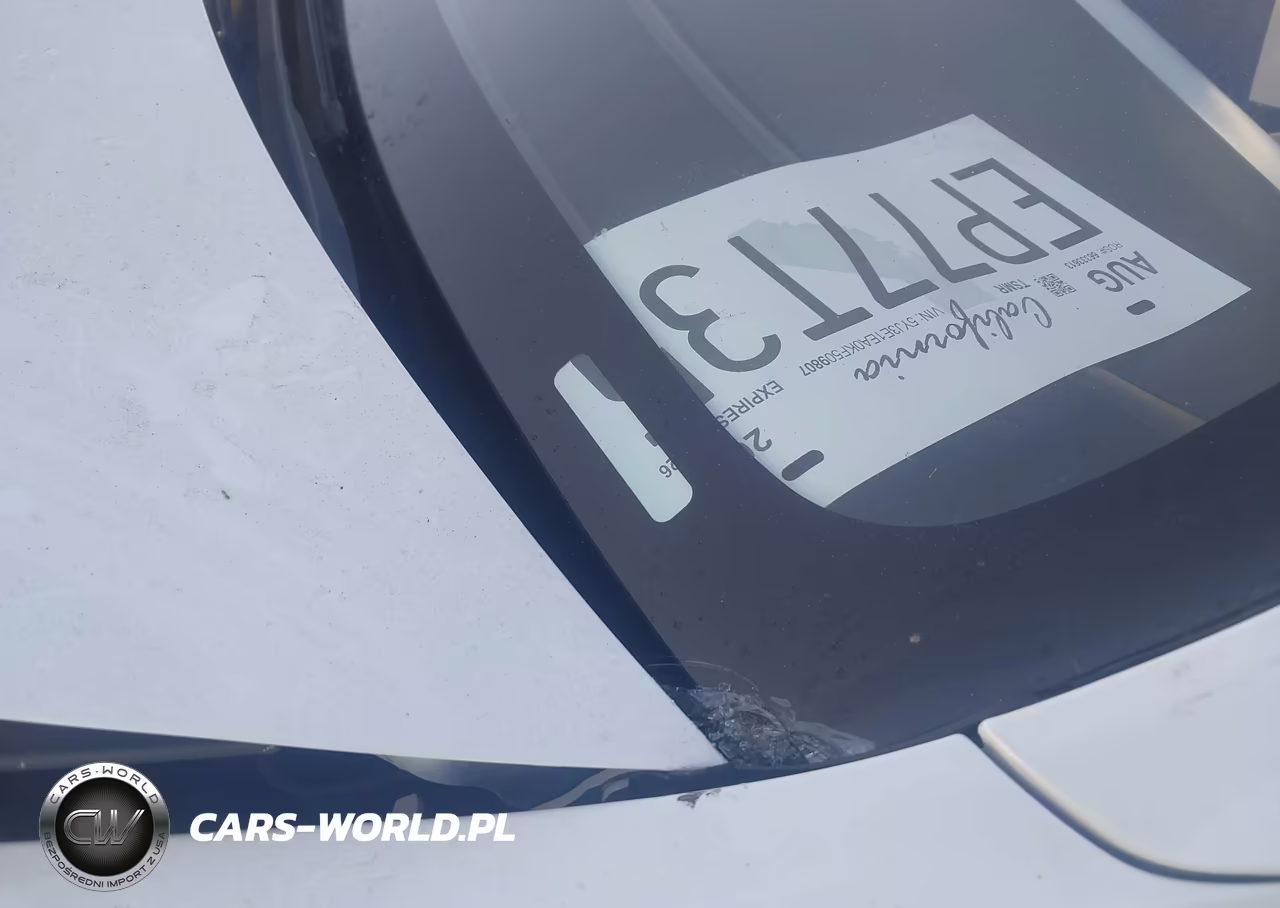 2019 Tesla Model 3 Long Range-Mid Range-Standard Range-Standard Range Plus VIN:5YJ3E1EA0KF509807 - 9