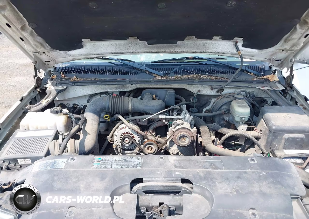 2005 Chevrolet Silverado 1500 Work Truck VIN:1GCEC14X55Z305586 - 10