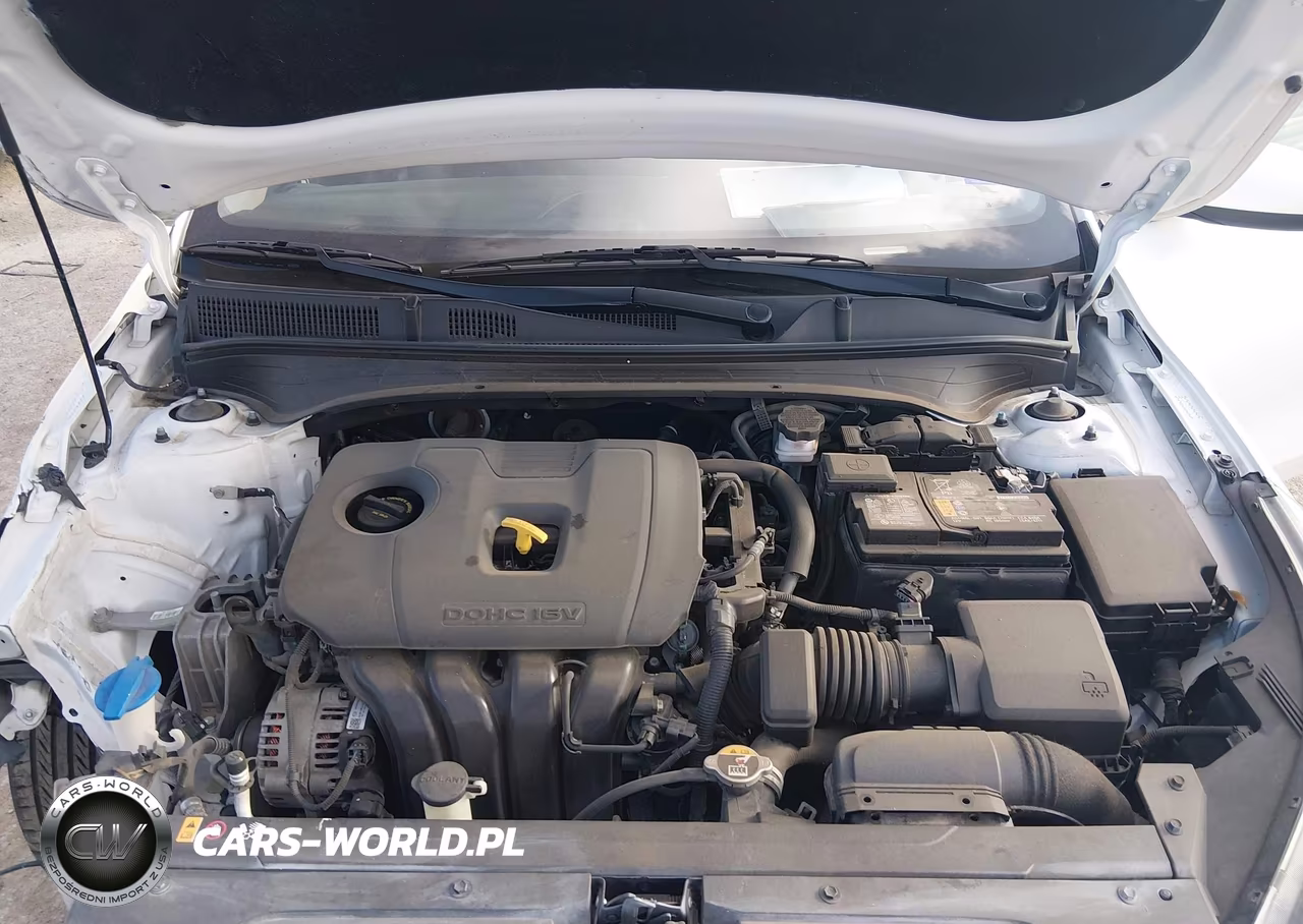 2021 Kia Forte Fe VIN:3KPF24AD8ME402004 - 10
