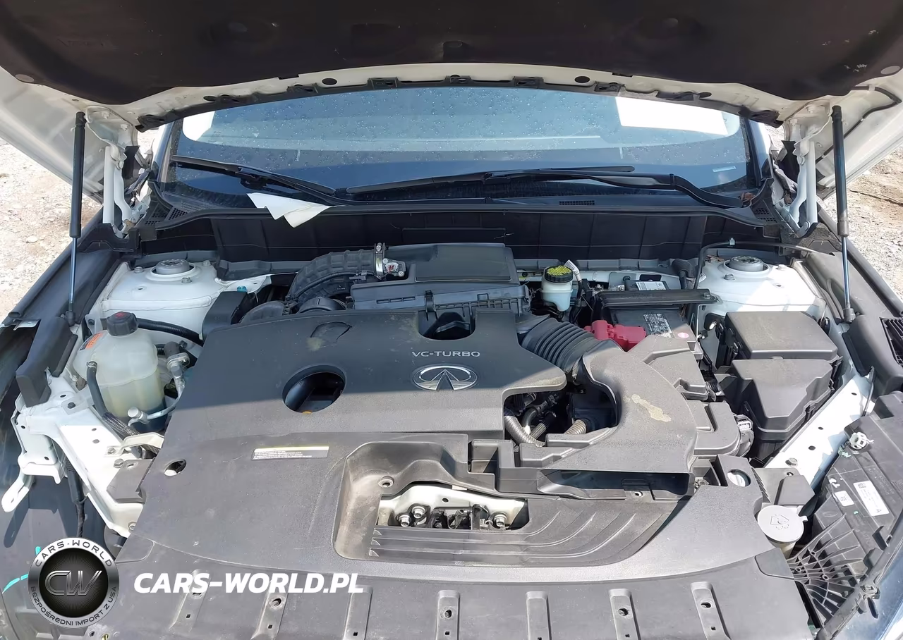 2019 Infiniti Qx50 Luxe VIN:3PCAJ5M13KF125225 - 10