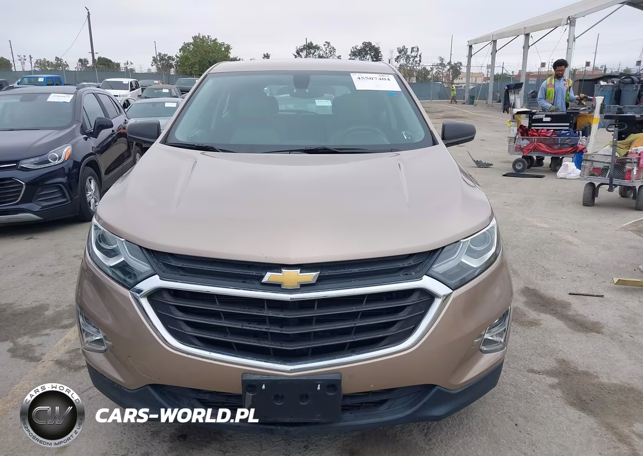 2019 Chevrolet Equinox Ls VIN:2GNAXSEV9K6224790 - 12
