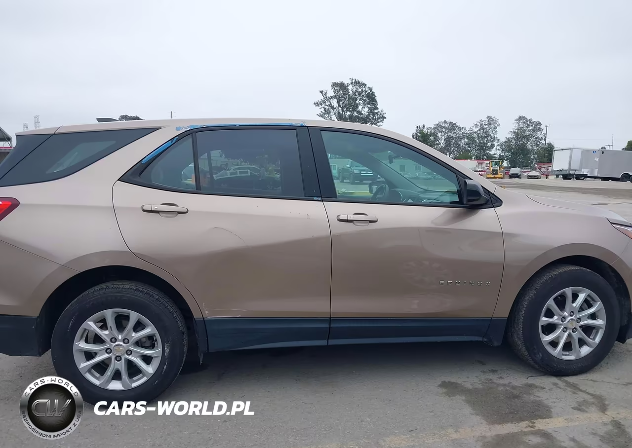 2019 Chevrolet Equinox Ls VIN:2GNAXSEV9K6224790 - 13