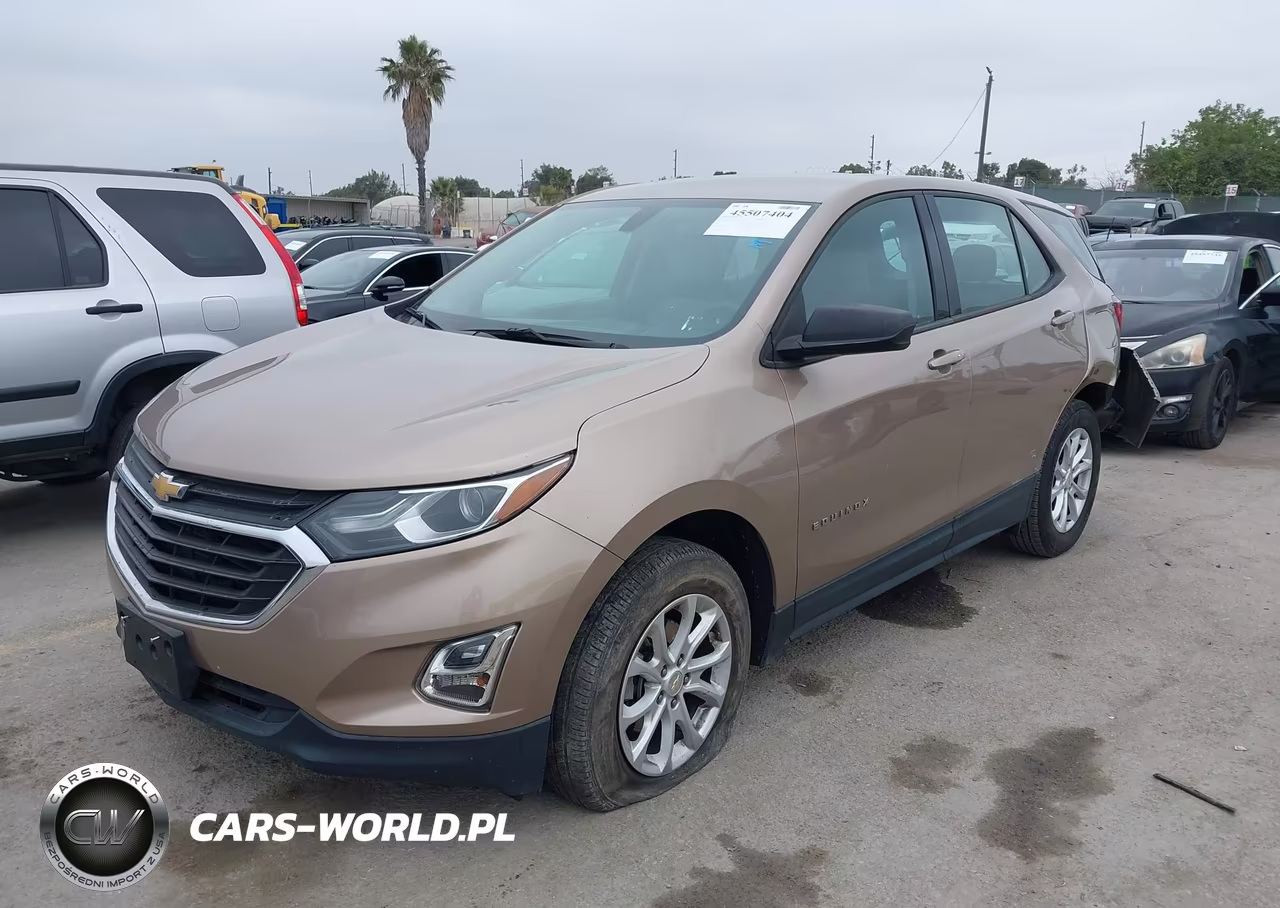 2019 Chevrolet Equinox Ls VIN:2GNAXSEV9K6224790 - 2