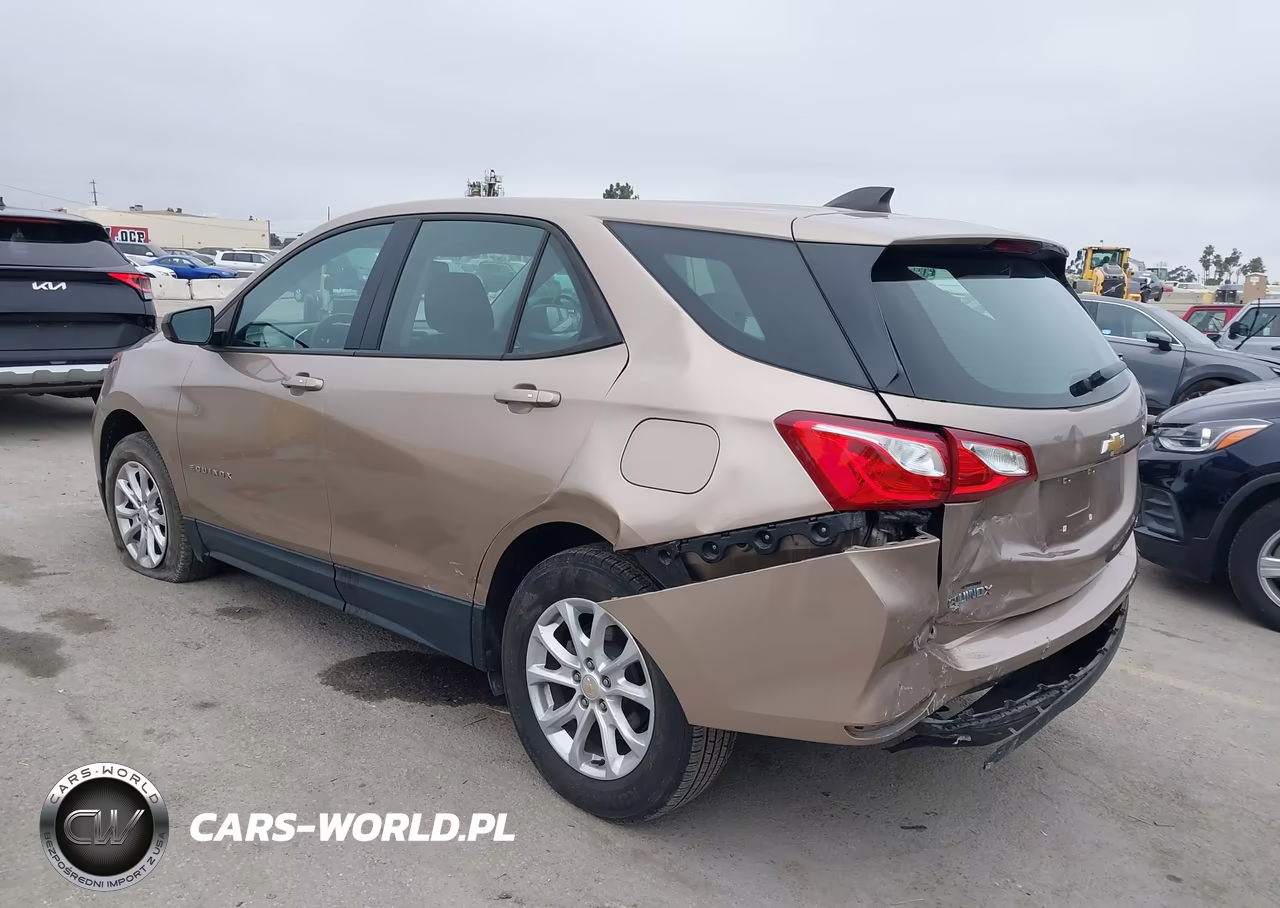 2019 Chevrolet Equinox Ls VIN:2GNAXSEV9K6224790 - 3