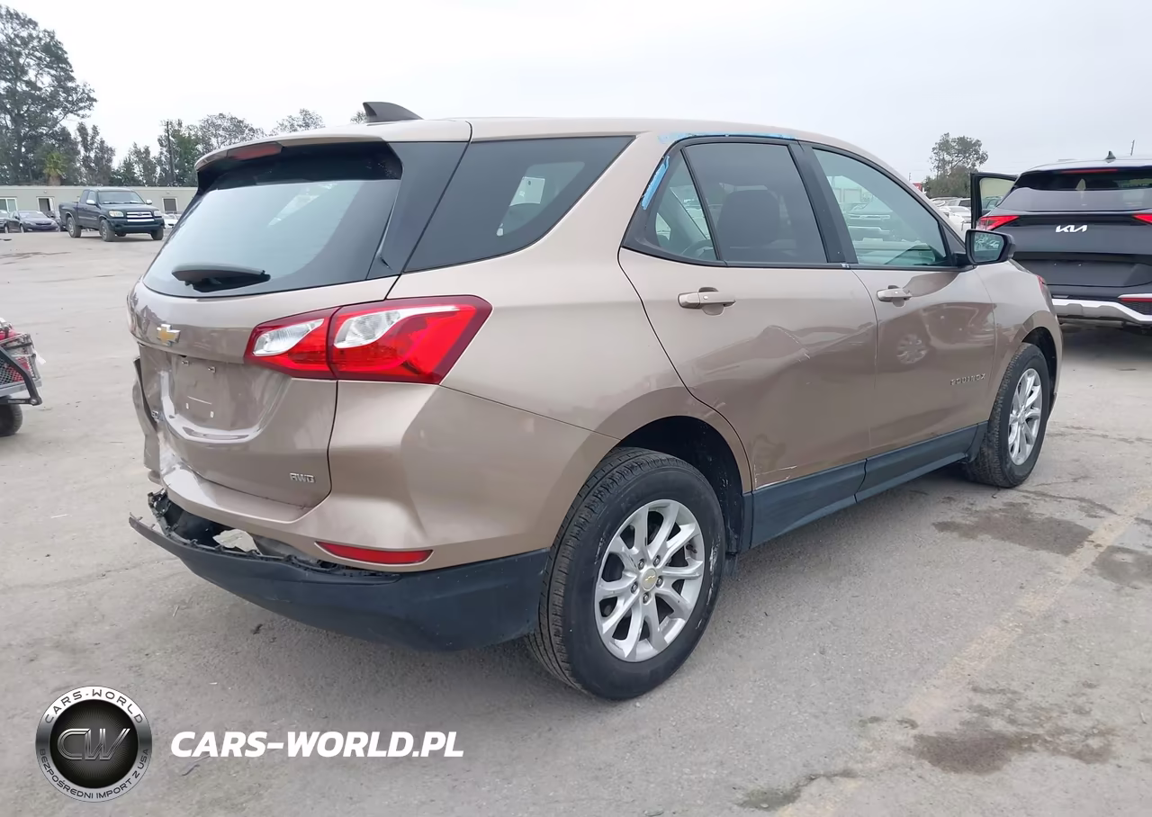 2019 Chevrolet Equinox Ls VIN:2GNAXSEV9K6224790 - 4