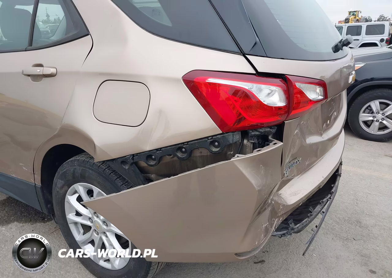2019 Chevrolet Equinox Ls VIN:2GNAXSEV9K6224790 - 6