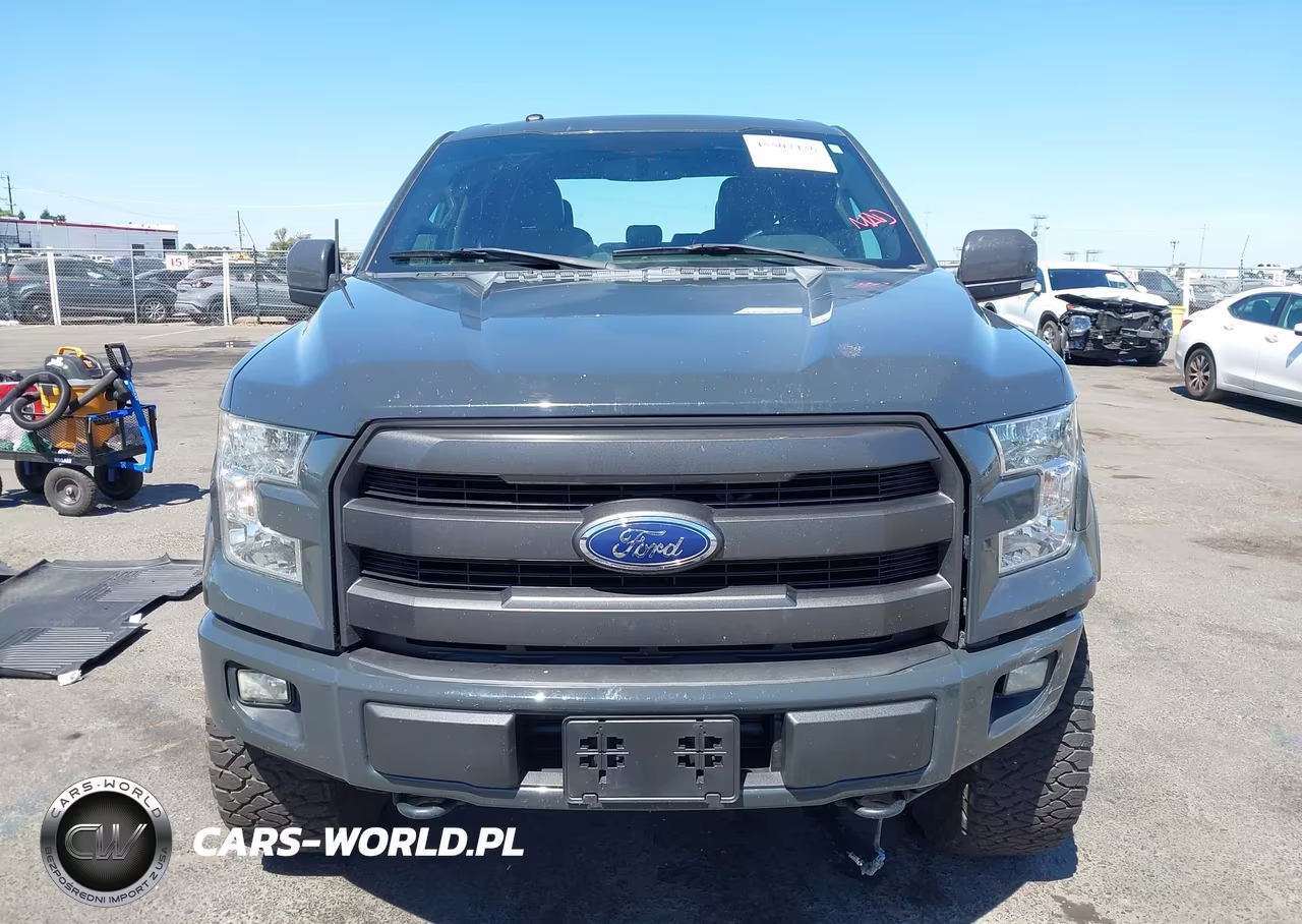 2016 Ford F-150 King Ranch-Lariat-Limited-Platinum-Xl-Xlt VIN:1FTEW1EG1GKE75638 - 13