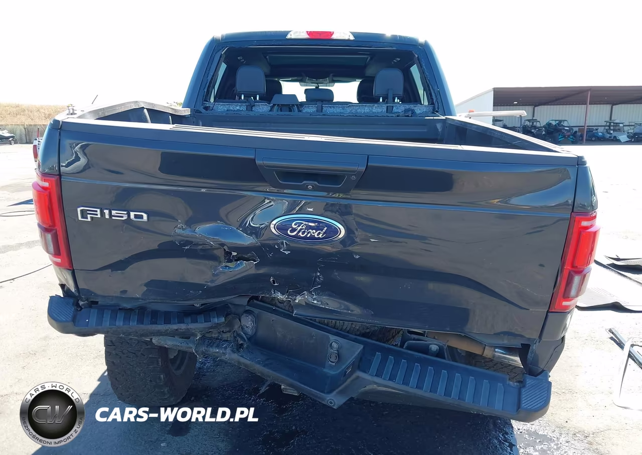 2016 Ford F-150 King Ranch-Lariat-Limited-Platinum-Xl-Xlt VIN:1FTEW1EG1GKE75638 - 17
