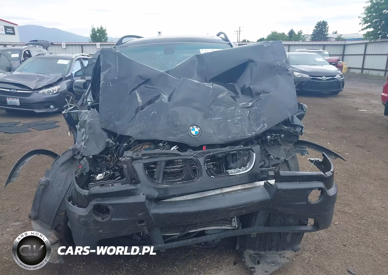 2005 BMW X3 3.0I VIN:WBXPA93465WA31570 - 12