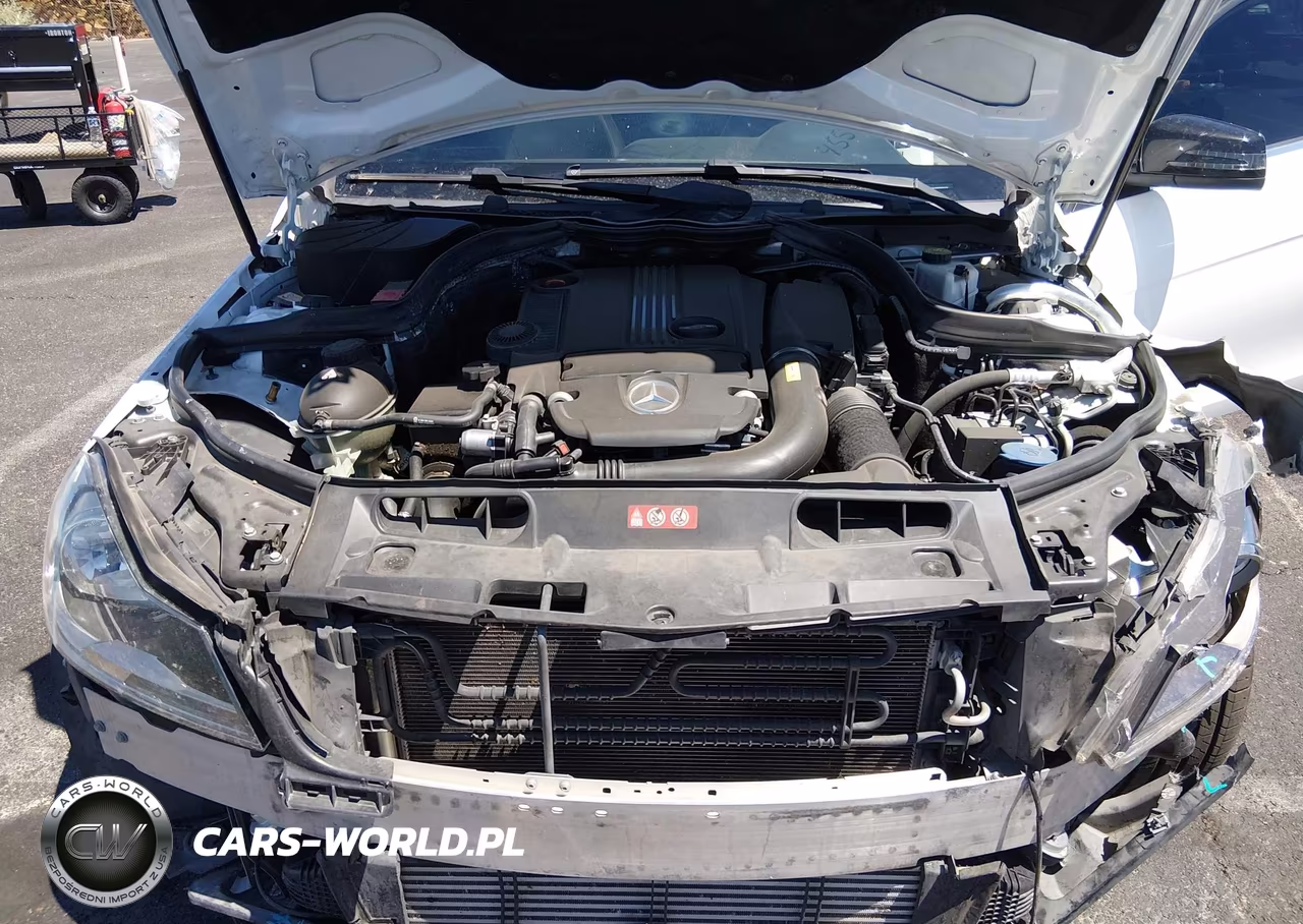 2015 Mercedes-Benz C 250 VIN:WDDGJ4HB9FG405174 - 10
