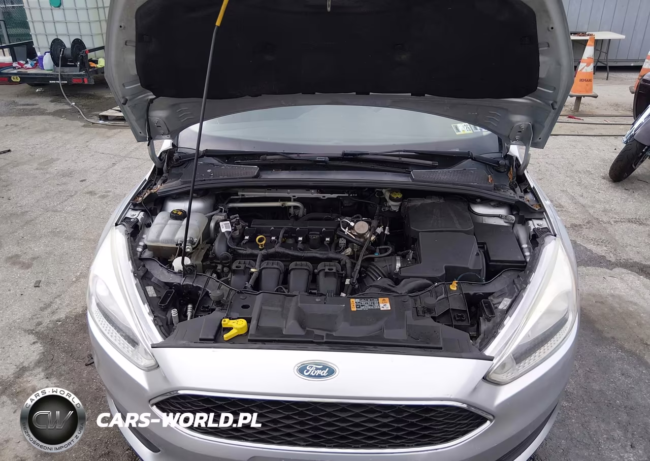 2016 Ford Focus Se VIN:1FADP3F21GL374820 - 10