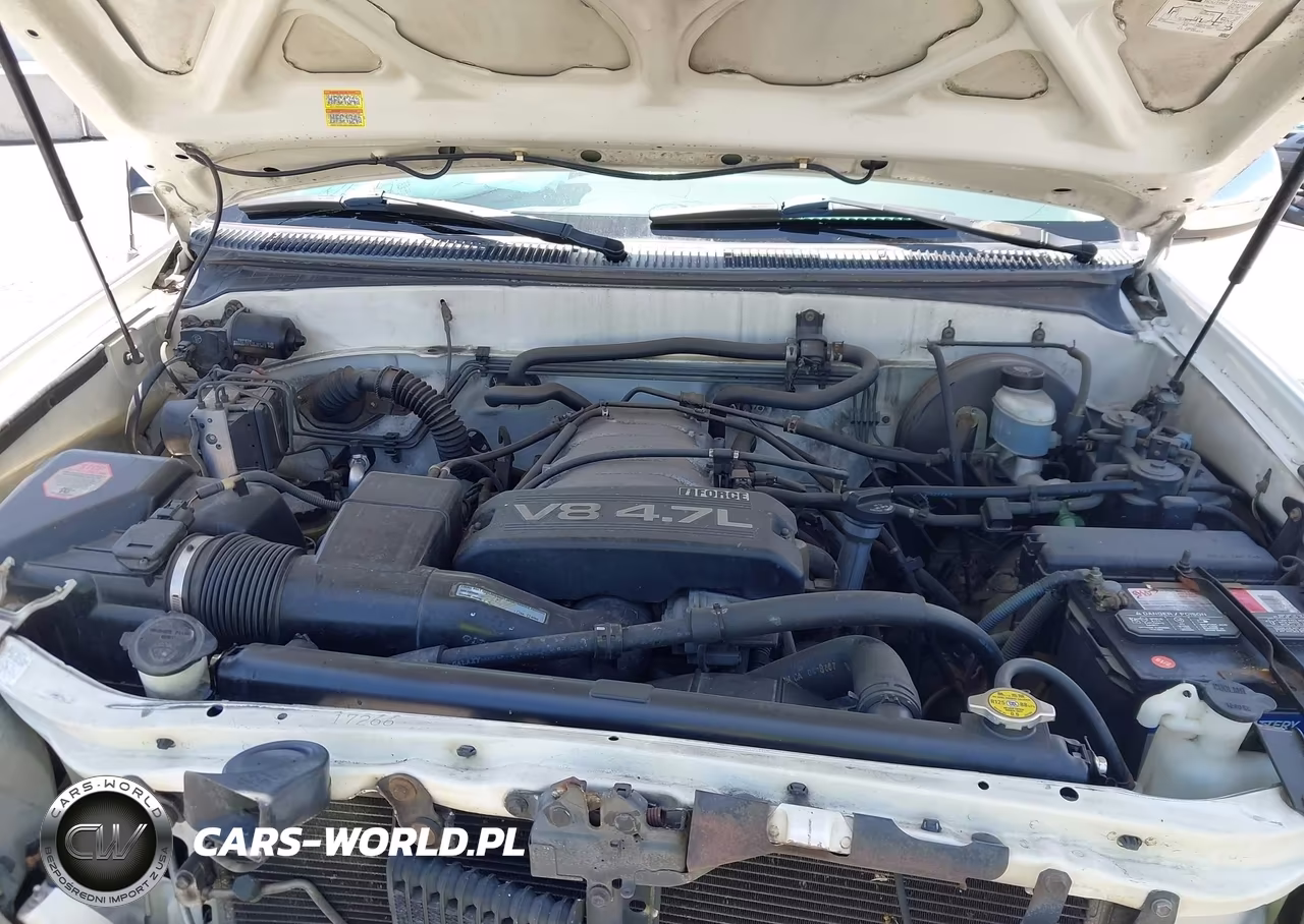 2002 Toyota Tundra Sr5 V8 VIN:5TBRT34182S278933 - 10