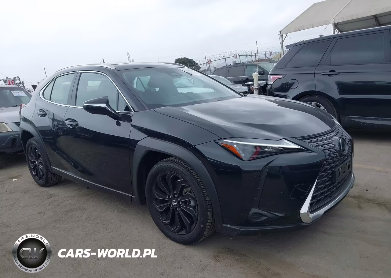 2025 Lexus Ux 300H – zdjęcie 1 z 15