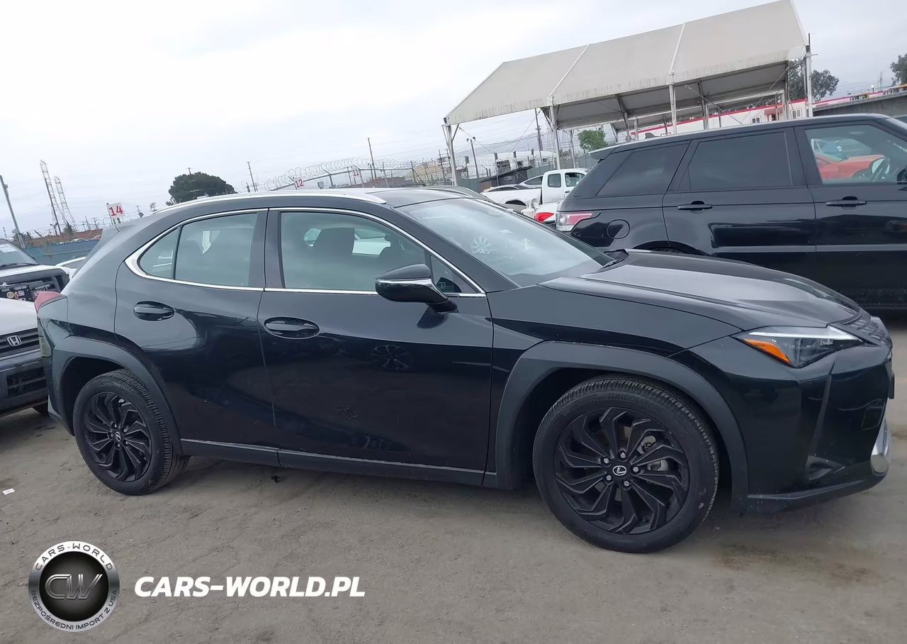 2025 Lexus Ux 300H VIN:JTHYBJAH9S2017747 - 12