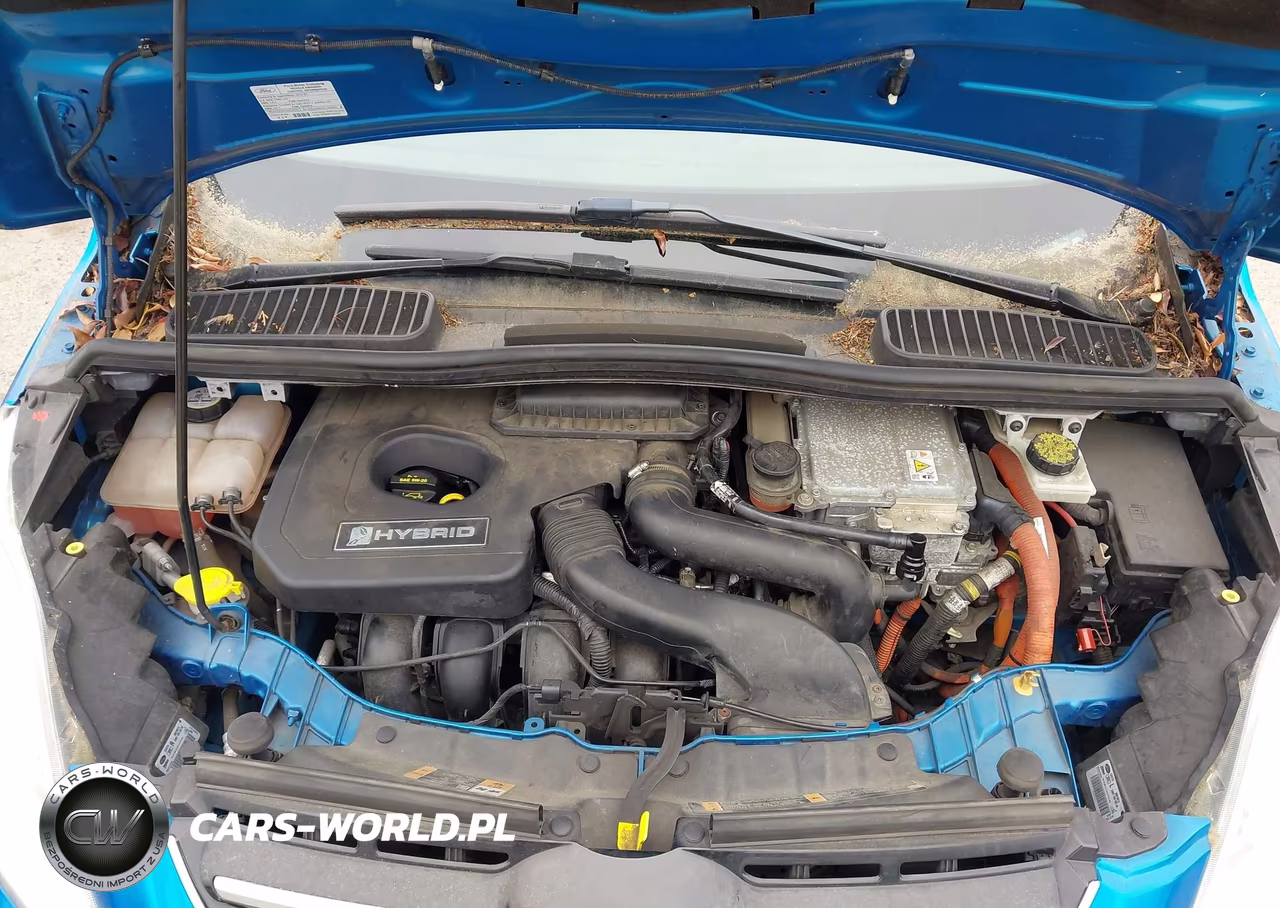 2013 Ford C-Max Hybrid Sel VIN:1FADP5BU8DL506681 - 10
