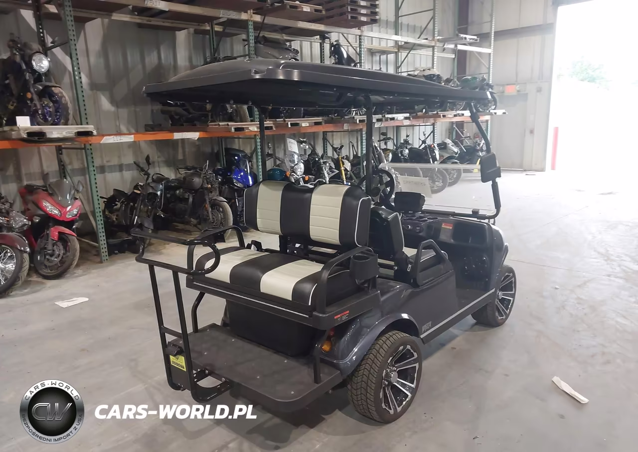 2023 Evolution Golf Cart VIN:202318730 - 4