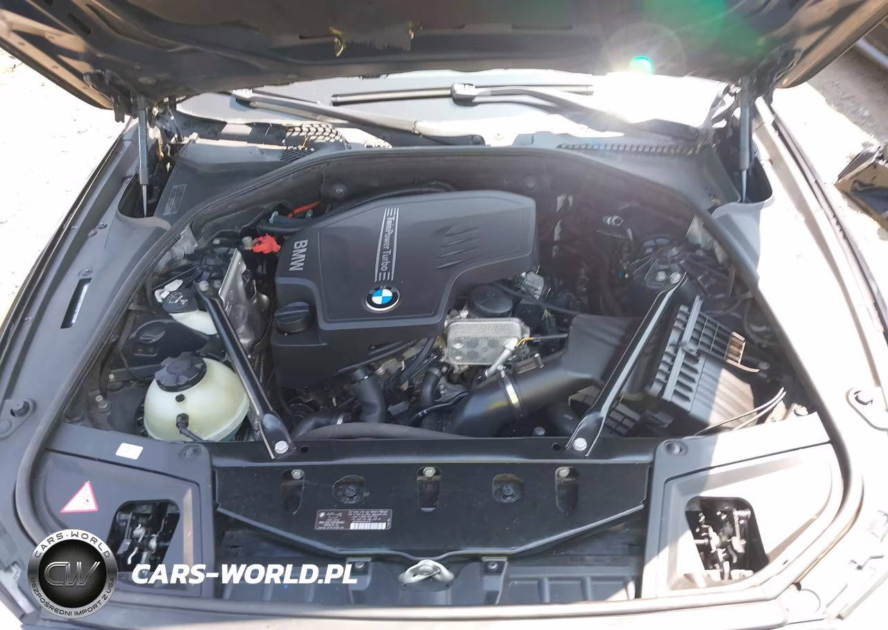 2013 BMW 528I xDrive VIN:WBAXH5C56DD107609 - 10