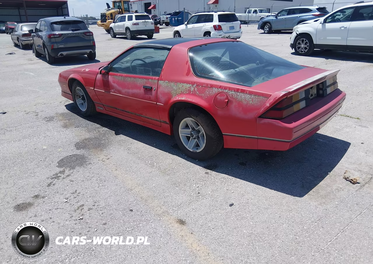 1989 Chevrolet Camaro VIN:1G1FP21E8KL109974 - 3
