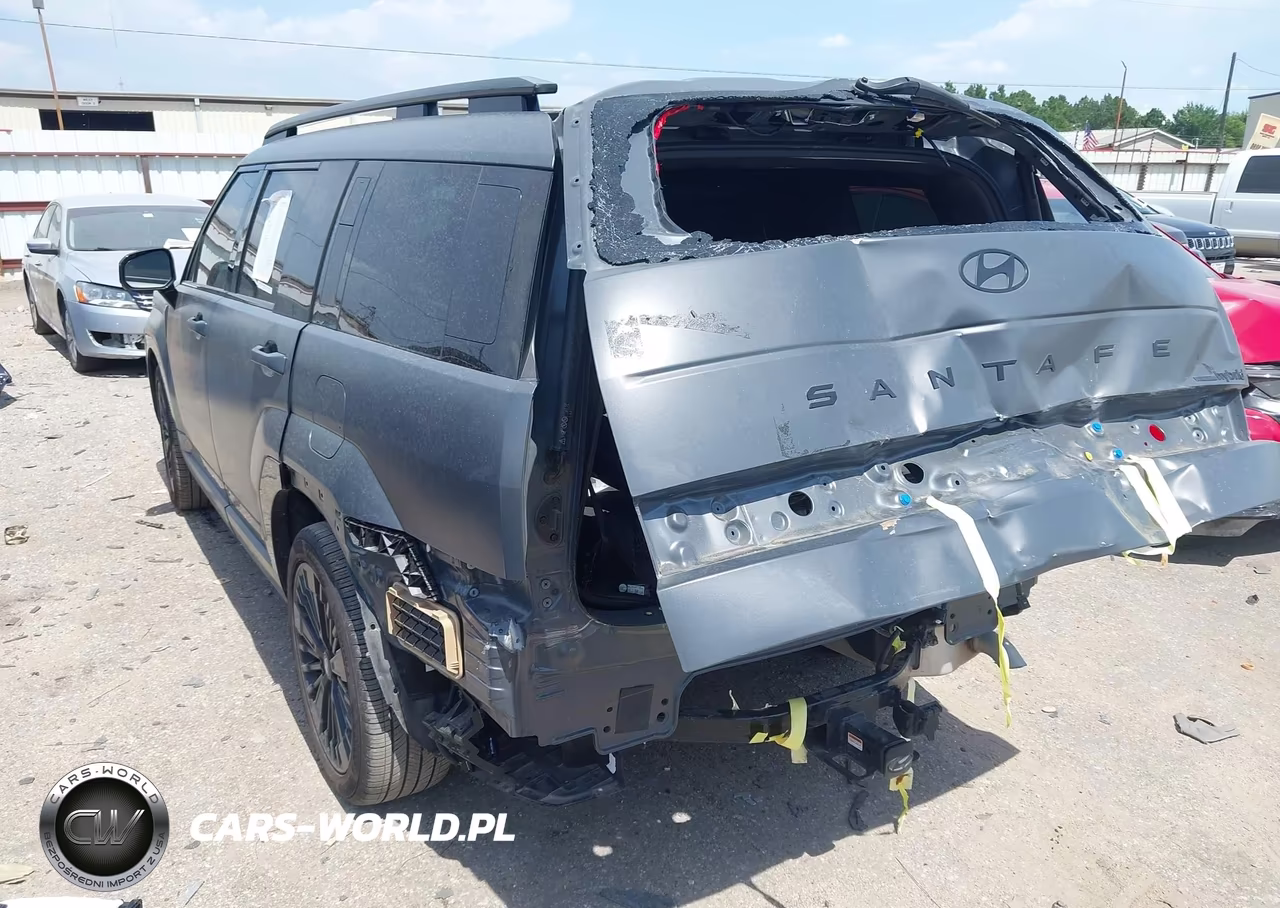 2025 Hyundai Santa Fe Hybrid Calligraphy VIN:5NMP5DG13SH049010 - 3