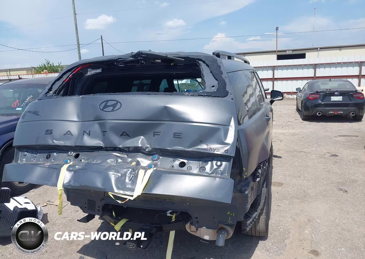 2025 Hyundai Santa Fe Hybrid Calligraphy VIN:5NMP5DG13SH049010 - 6