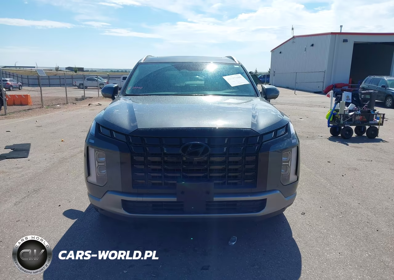 2025 Hyundai Palisade Sel Premium VIN:KM8R4DGE4SU925778 - 12