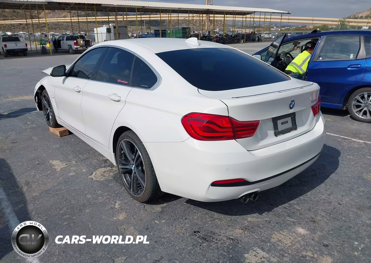 2019 BMW 430I Gran Coupe VIN:WBA4J1C51KBM12556 - 3