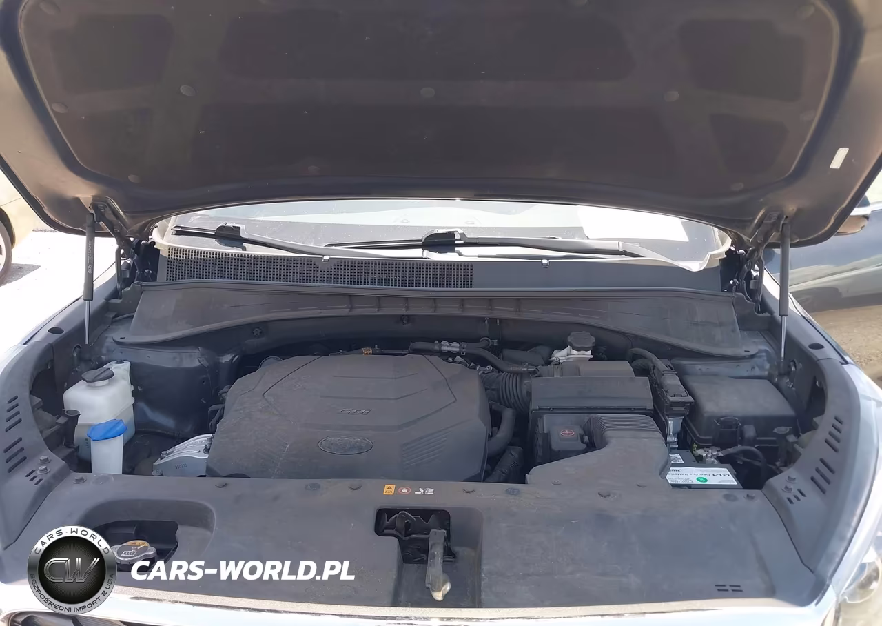 2020 Kia Sorento S V6 VIN:5XYPG4A59LG694164 - 10